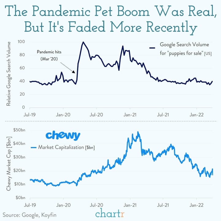 Pandemic Pet Boom